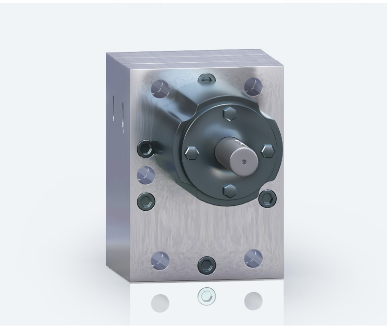 Small displacement gear metering pump(图10)