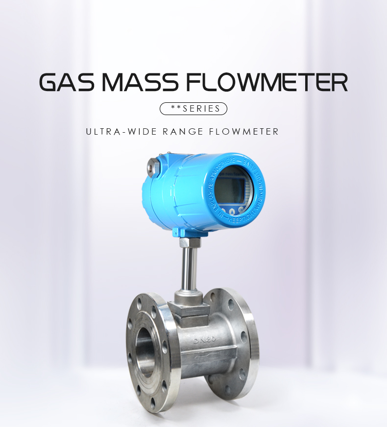CX-TMFM-F Thermal gas mass flow meter(图1)